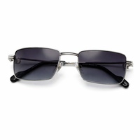STREET VISION SILVER