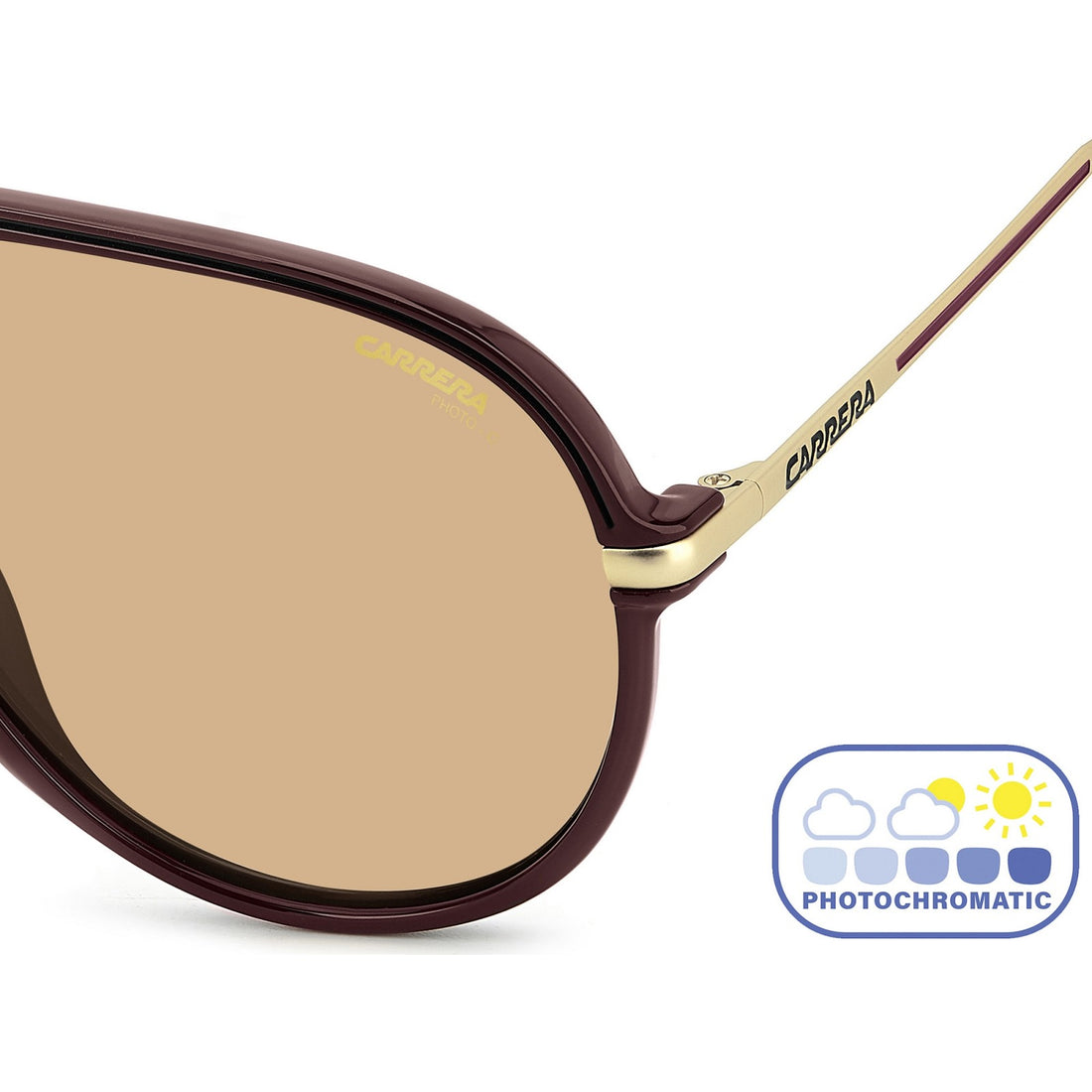 CARRERA C SPORT 06/S - LHF/N8 BORGOGNA