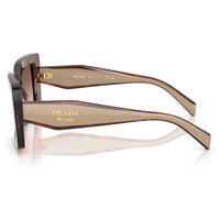 Prada PR D01S - 00K10S Tartaruga Caramellata |