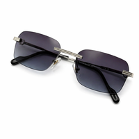 DARK FRAME SILVER