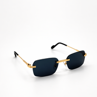 DARK FRAME GOLD