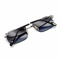 DARK FRAME SILVER