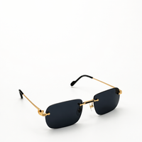 GOLD VISION