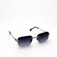 DARK FRAME SILVER