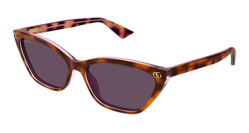 GUCCI GG1815S-004 HAVANA