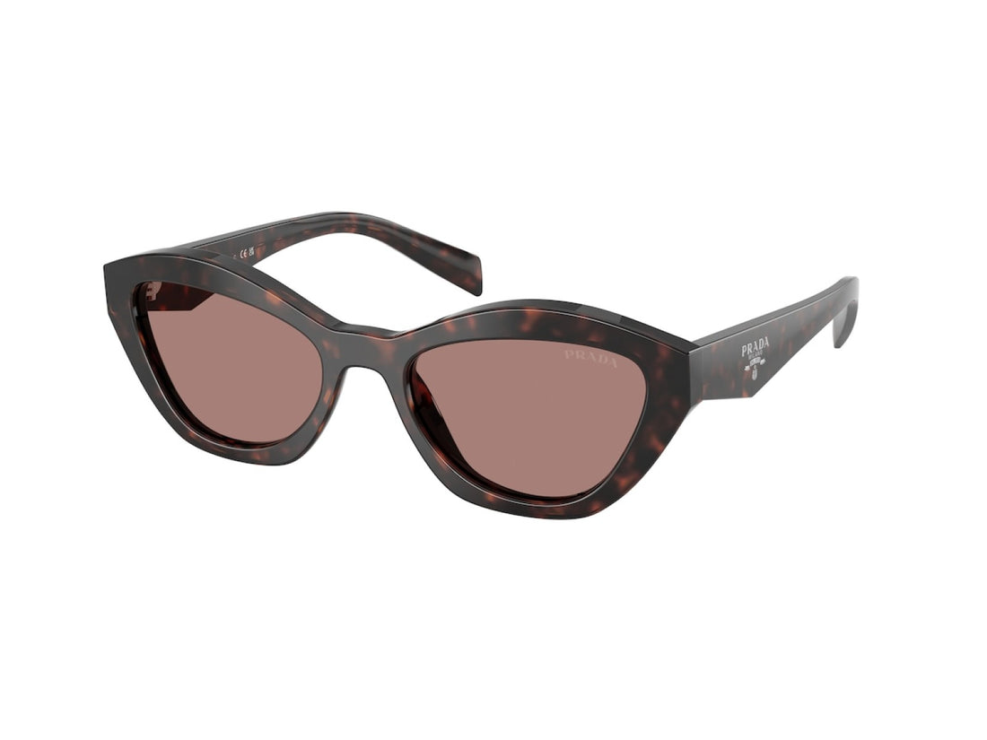 Prada PR A02S - 17N60B Tartaruga Delle Radici