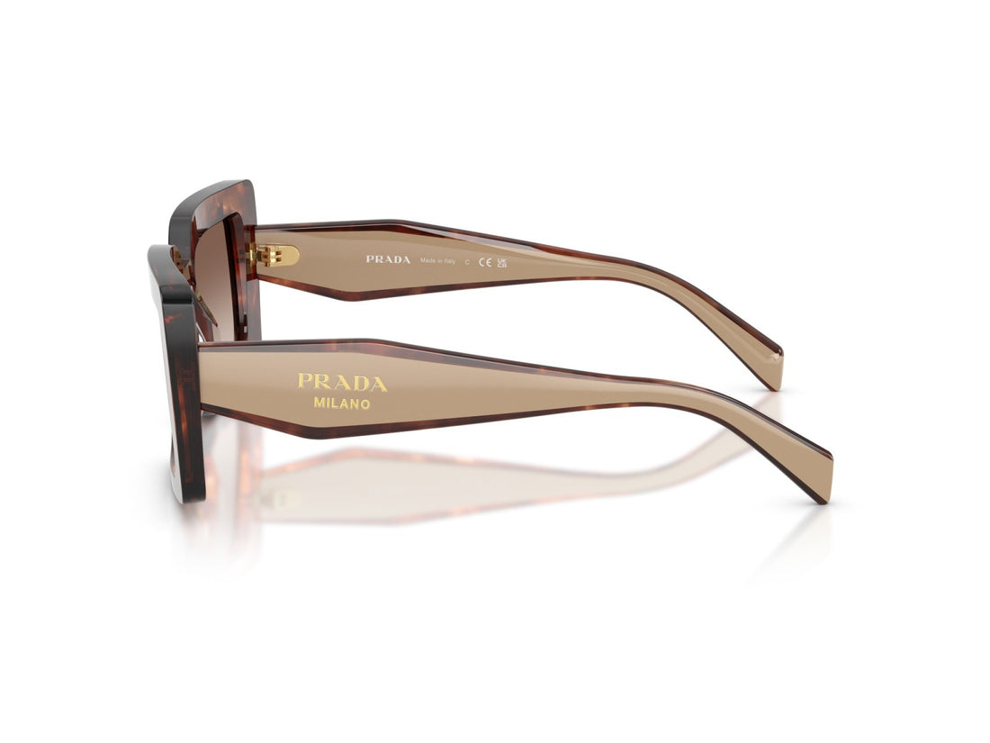 Prada PR D01S - 00K10S Tartaruga Caramellata |