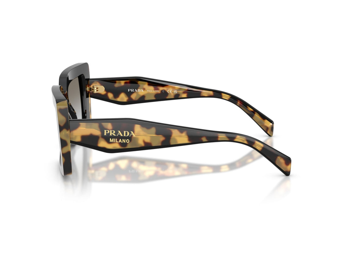 Prada PR D01S - 0CD80L Tartaruga Nera/media