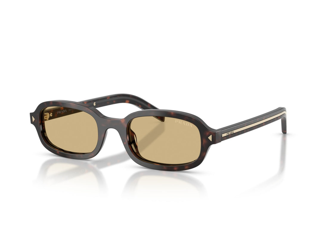 Prada PR D06S - 17N70R Tartaruga Delle Radici