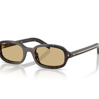 Prada PR D06S - 17N70R Tartaruga Delle Radici