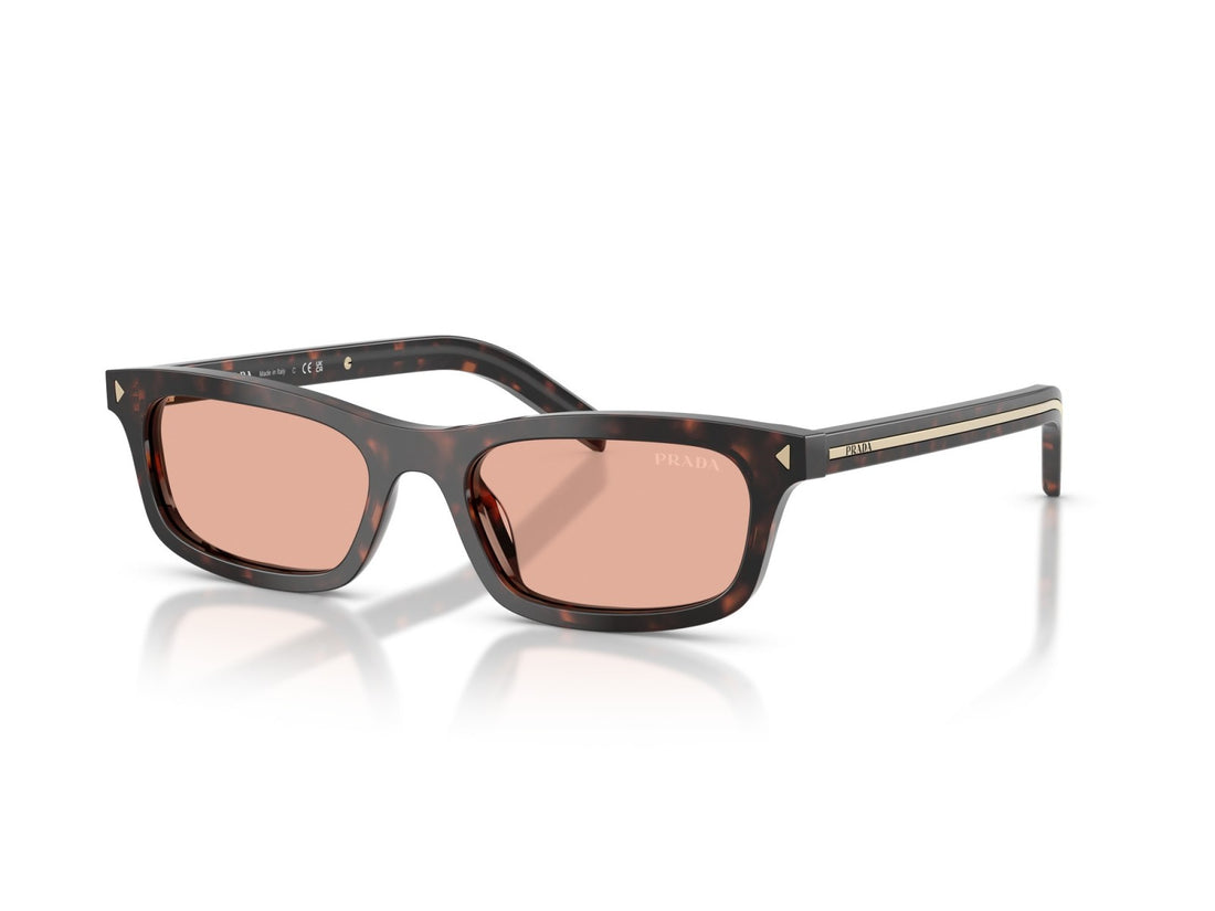 Prada PR D05S - 17N50W Tartaruga Delle Radici