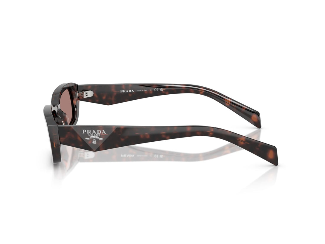 Prada PR B06S - 17N60B Tartaruga Delle Radic